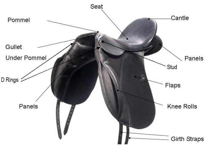 Saddle Parts Diagram