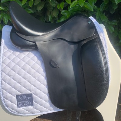 Arena 17.5” Dressage (S3766)